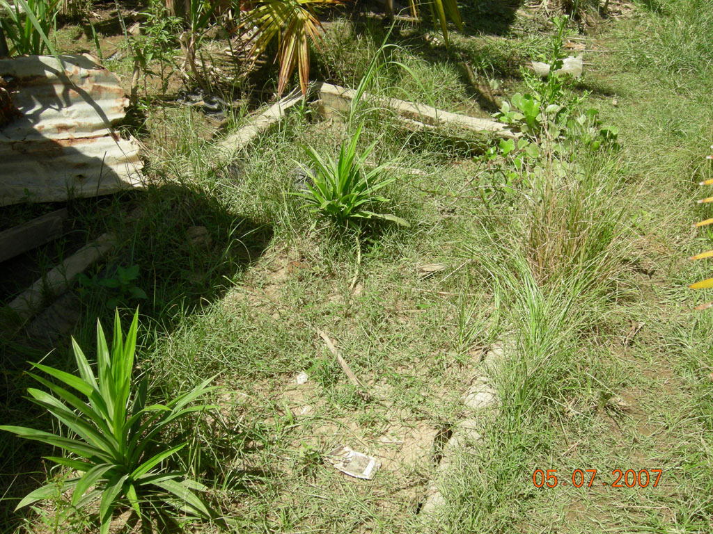 dscn1005a.jpg