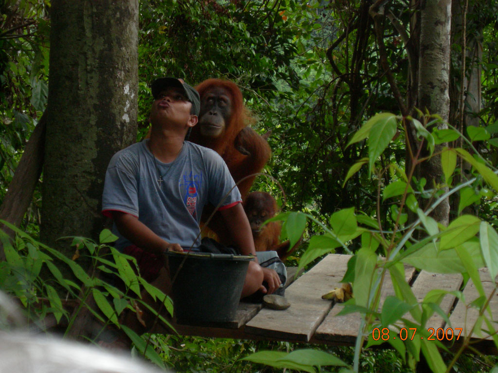 dscn1032a.jpg