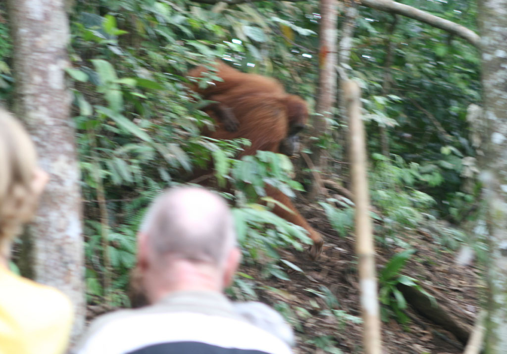 img_1264a.jpg