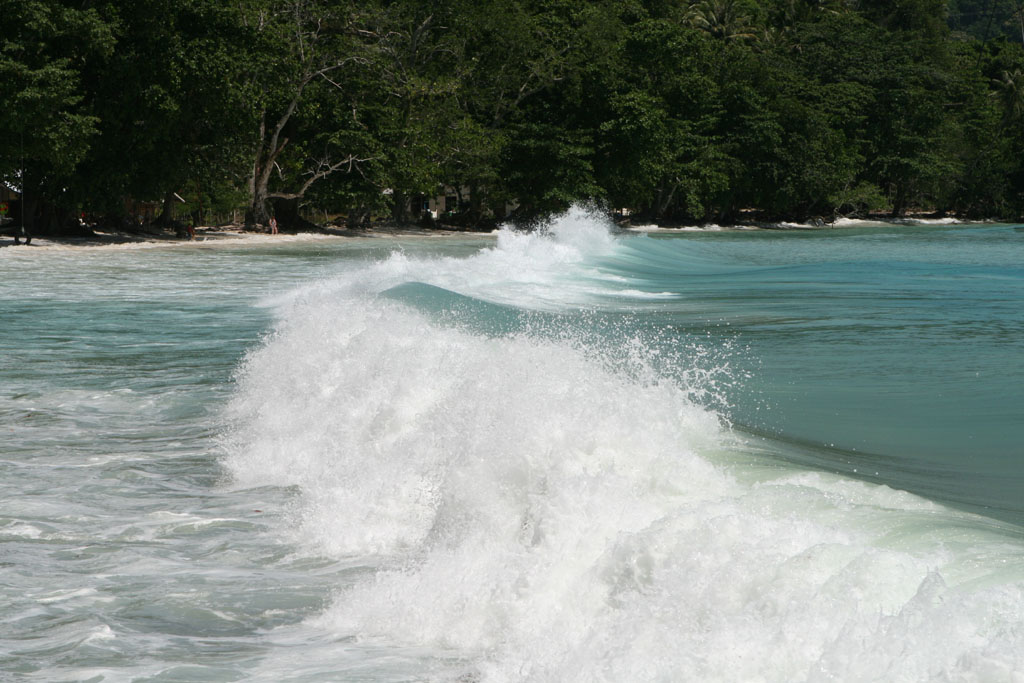 img_0709a.jpg